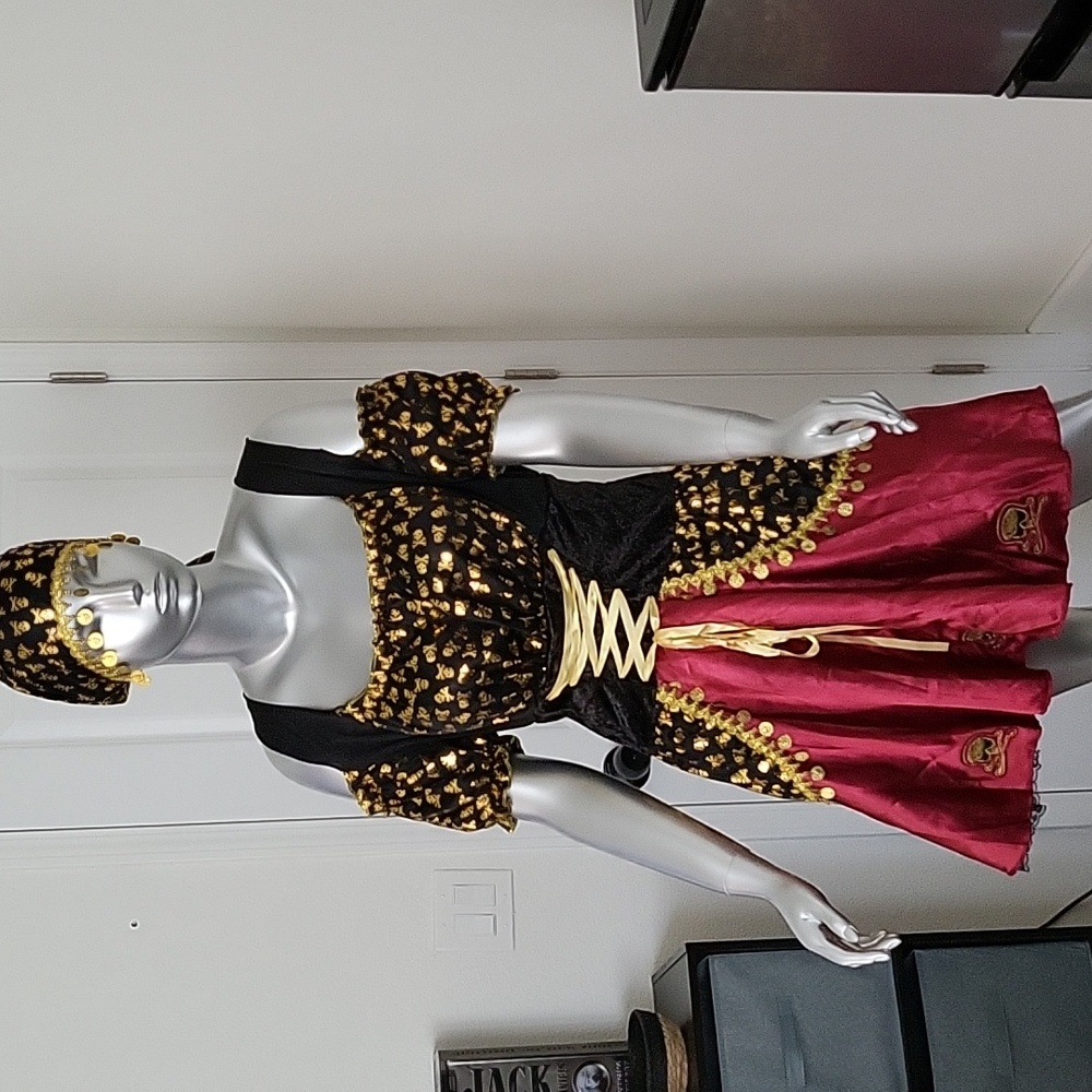 Pirate queen costume